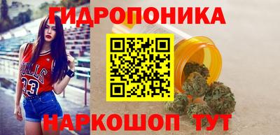 гидропоника Кунгур