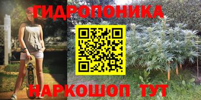 гидропоника Кунгур