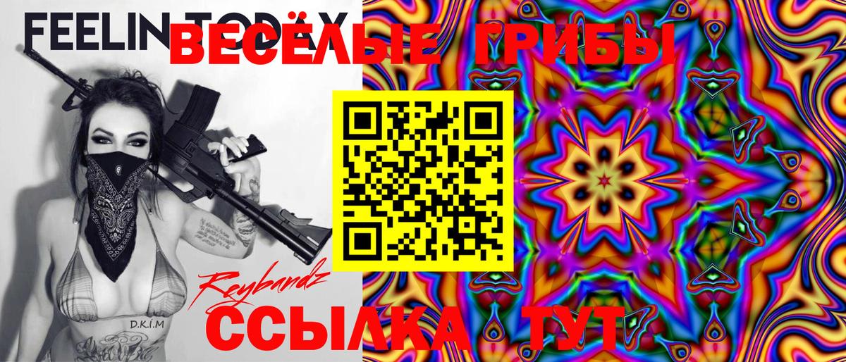 Галлюциногенные грибы Cubensis Ипатово