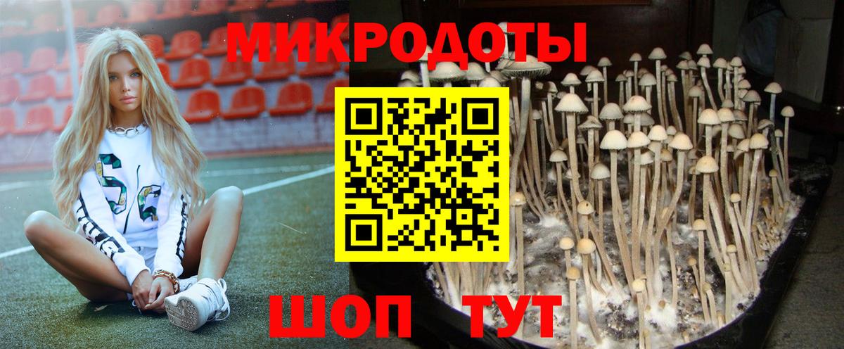 Галлюциногенные грибы MAGIC MUSHROOMS  Вход с VPN  Ипатово 